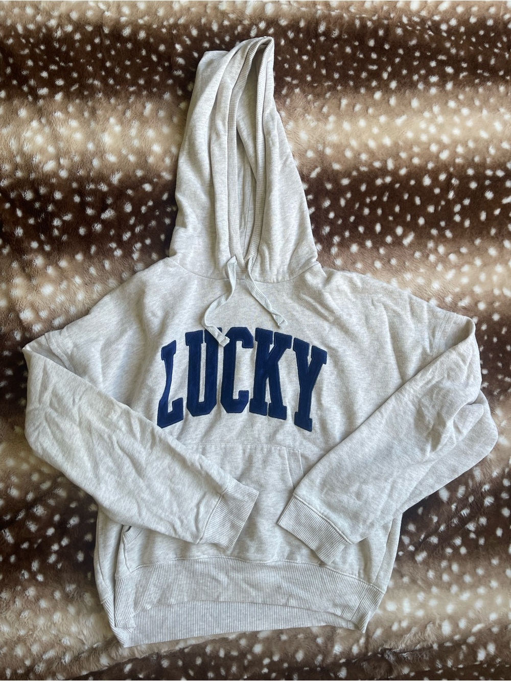 Lucky Brand heather oatmeal sweater